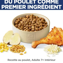 Senior 7+ Indoor Dry Chicken Cat Food, 1.59 kg