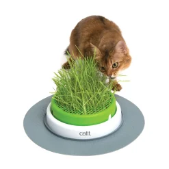 Senses 2.0 grass planter