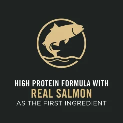 Sensitive Skin & Stomach Salmon & Rice Formula Dry Food for Large Breed Puppies, 10.9 kg