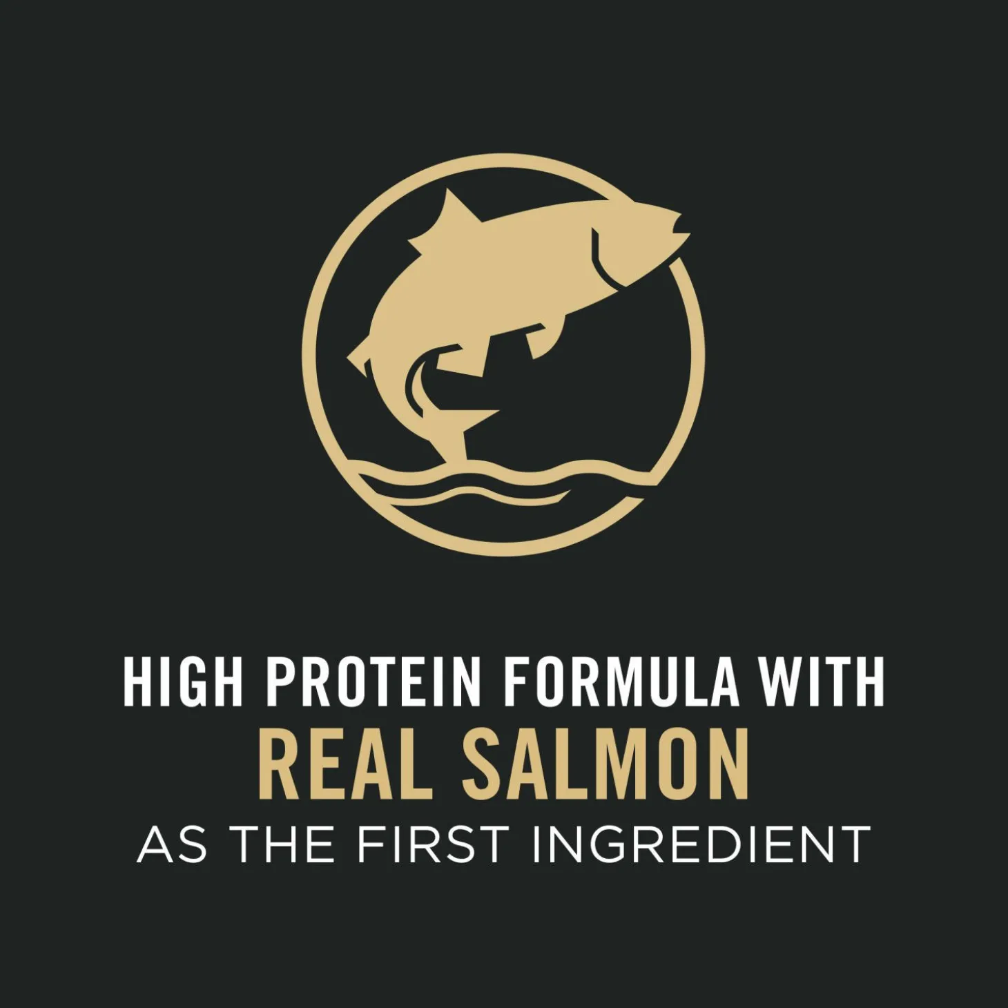 Sensitive Skin & Stomach Salmon & Rice Formula Dry Food for Large Breed Puppies, 10.9 kg