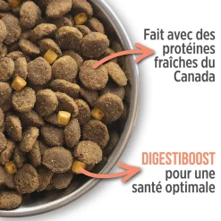 Sensitive Skin and Stomach Formula for Dogs