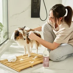 Shed Control Shampoo for Dogs, 475 ml