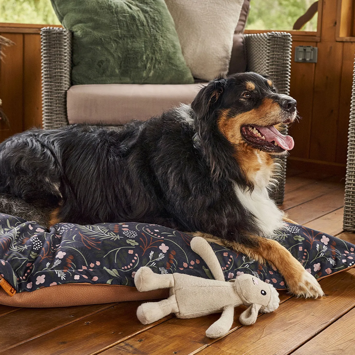 Sheep Plush Dog Toy