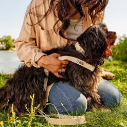 Silicone Collar for Dogs, Beige