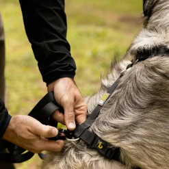 Silicone Dog Harness