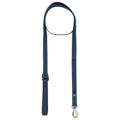 Silicone Leash for Dogs, Coronet Blue