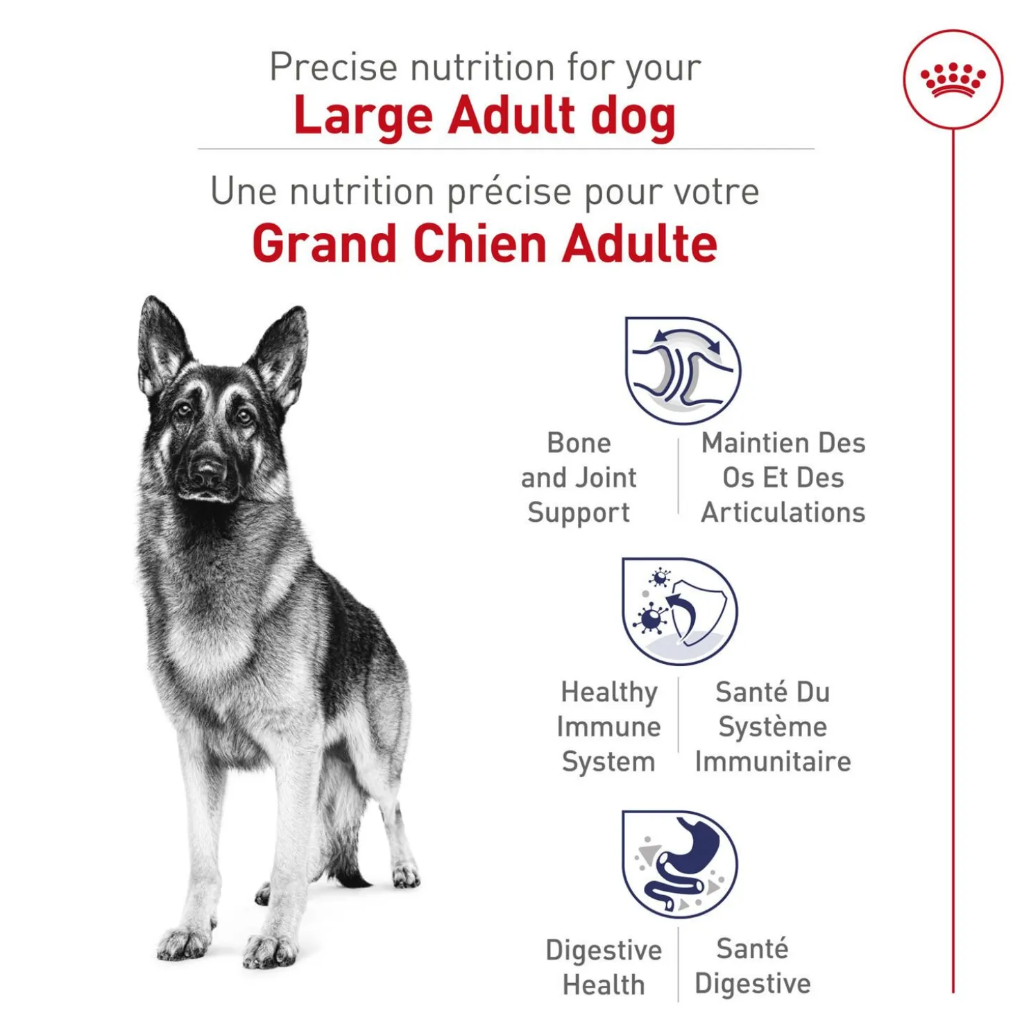 Size Health Nutrition™ Dry Food Formula for Large Adult Dogs