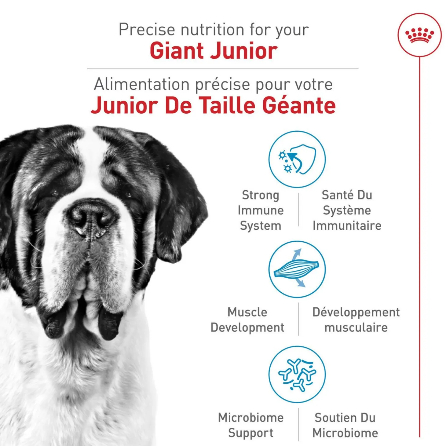 Size Health Nutrition™ Giant Junior Dry Dog Food
