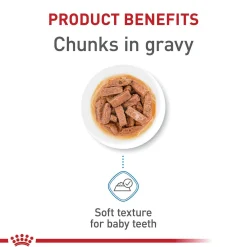 Size Health Nutrition™ Large Puppy Chunks in Gravy Pouch Dog Food
