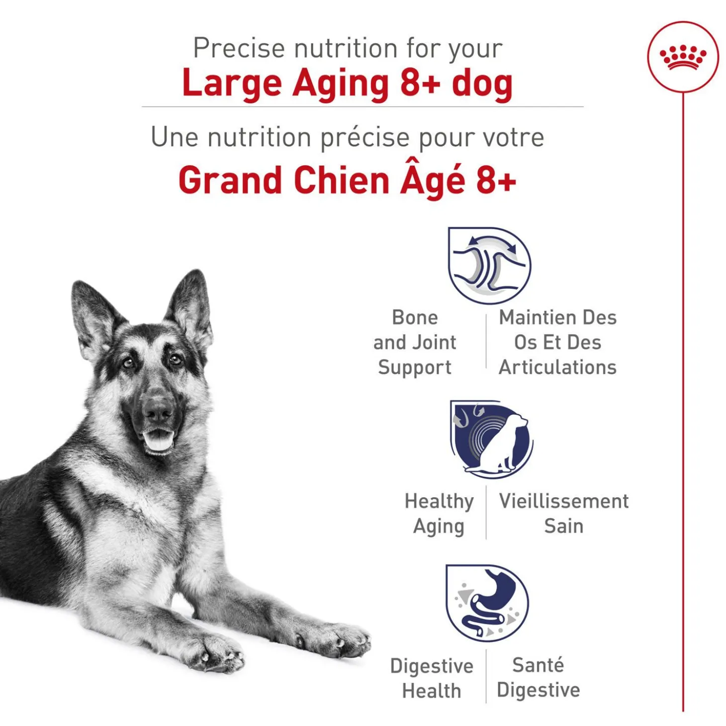 Size Health Nutrition™ Large Aging 8+ Dry Dog Food