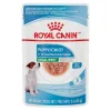 Size Health Nutrition™ Small Puppy Chunks in Gravy Pouch Dog Food