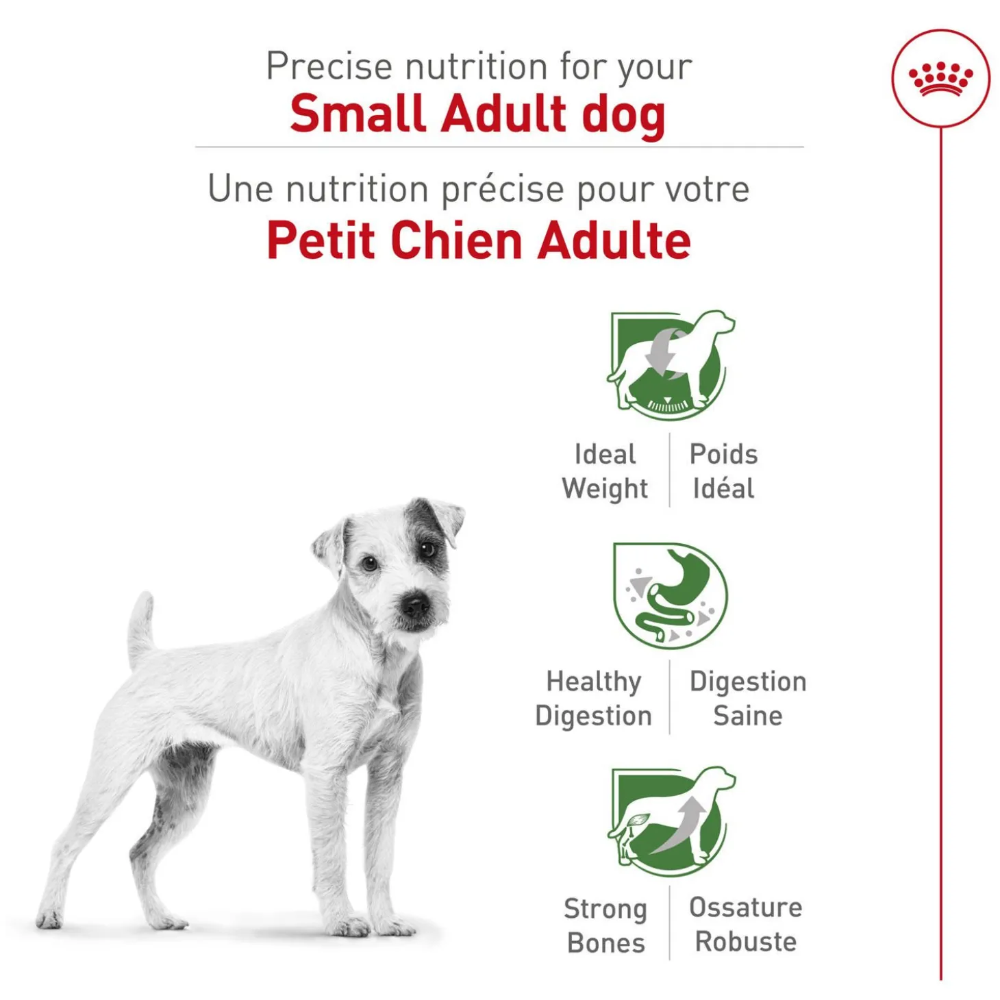 Size Health Nutrition™ Small Adult Dry Dog Food