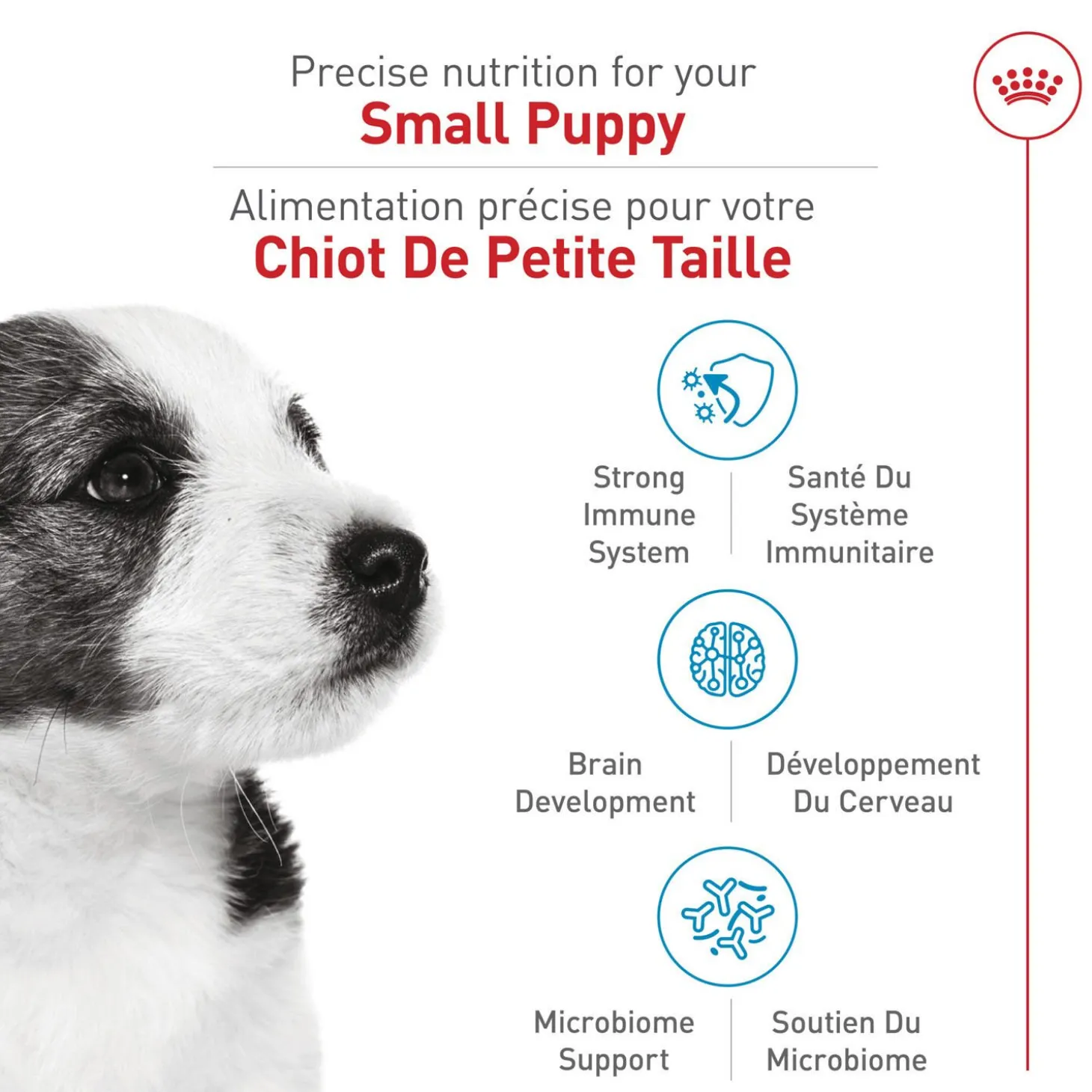 Size Health Nutrition™ Small Puppy Dry Puppy Food