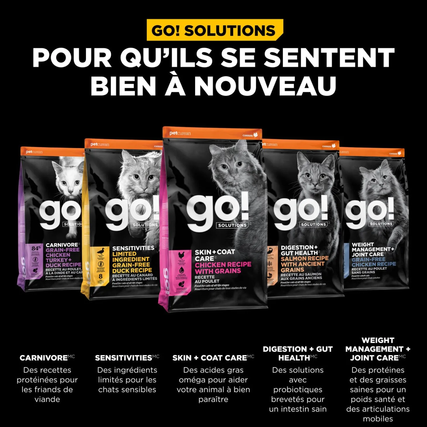 Skin + Coat Care Chicken and Grains Recipe for Cats, 7.76 kg
