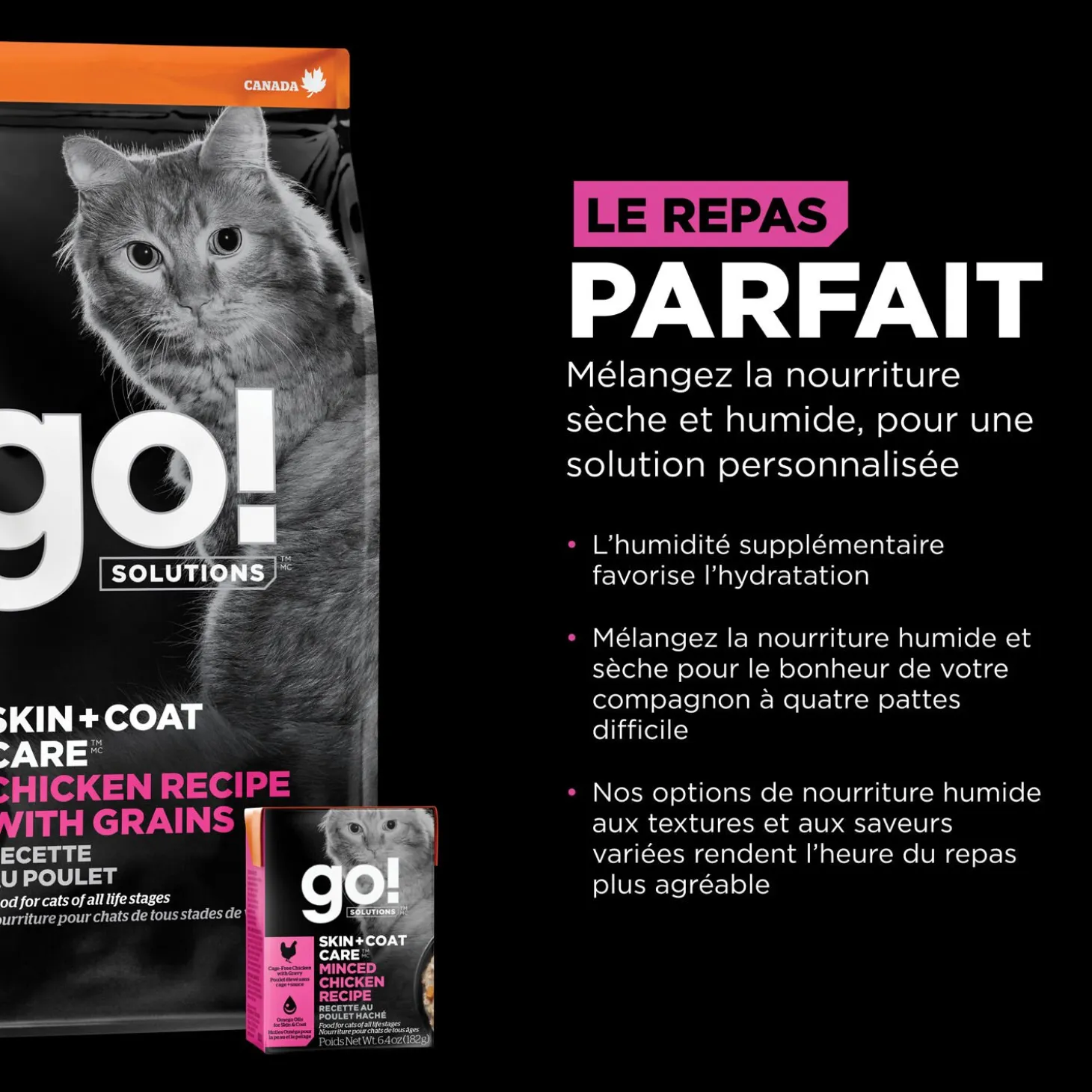 Skin + Coat Care Chicken and Grains Recipe for Cats, 7.76 kg