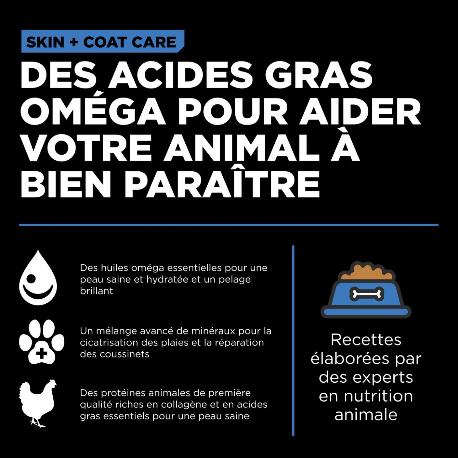 Skin + Coat Care Chicken and Grains Recipe for Dogs, 1.59 kg