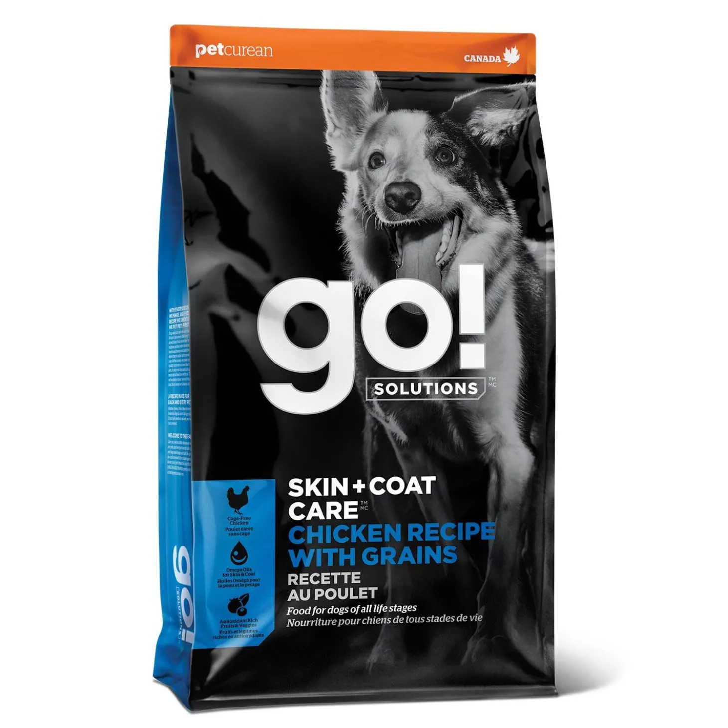 Skin + Coat Care Chicken and Grains Recipe for Dogs, 9.98 kg