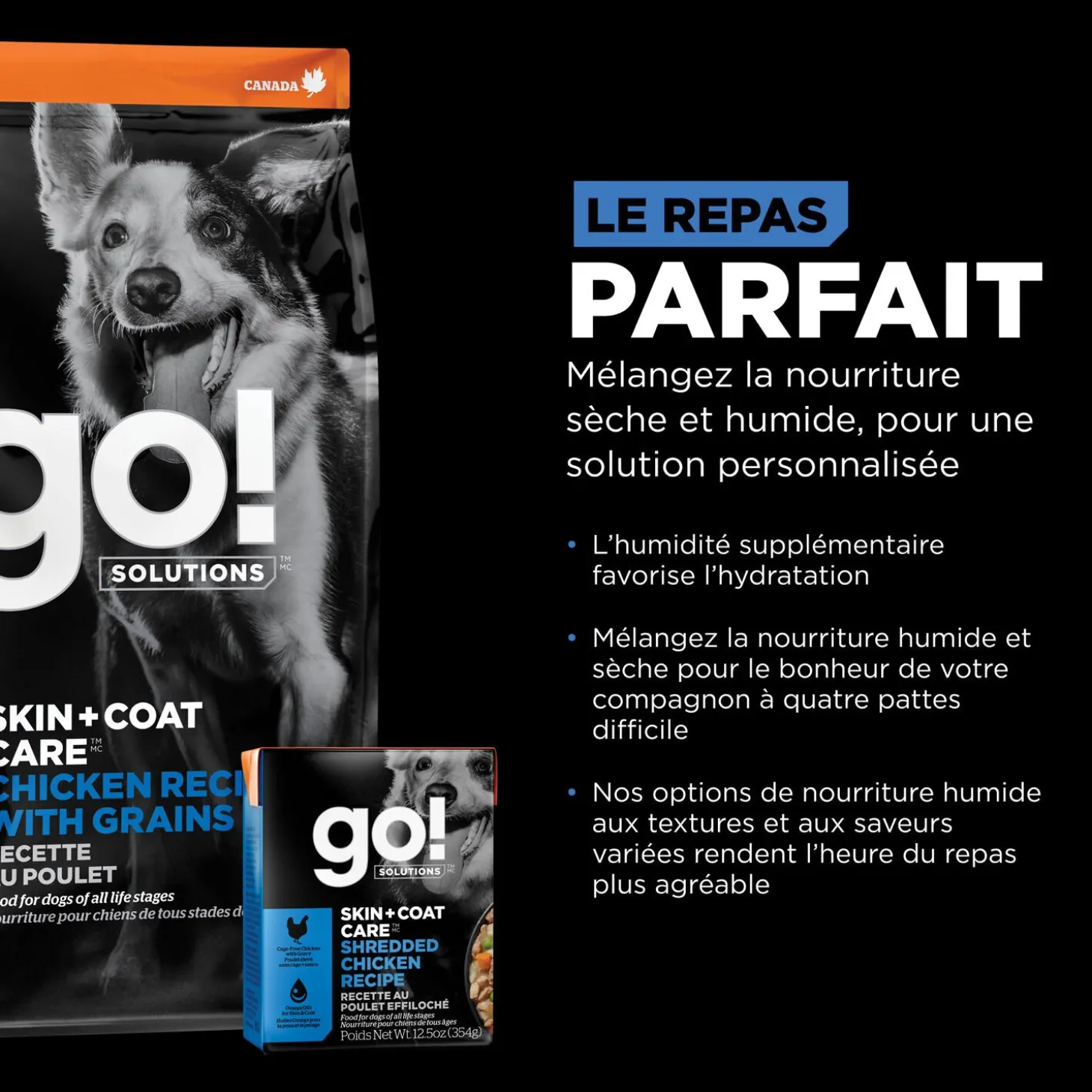Skin + Coat Care Chicken and Grains Recipe for Dogs, 5.44 kg