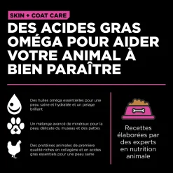 Skin + Coat Care Chicken and Grains Recipe for Cats, 1.86 kg