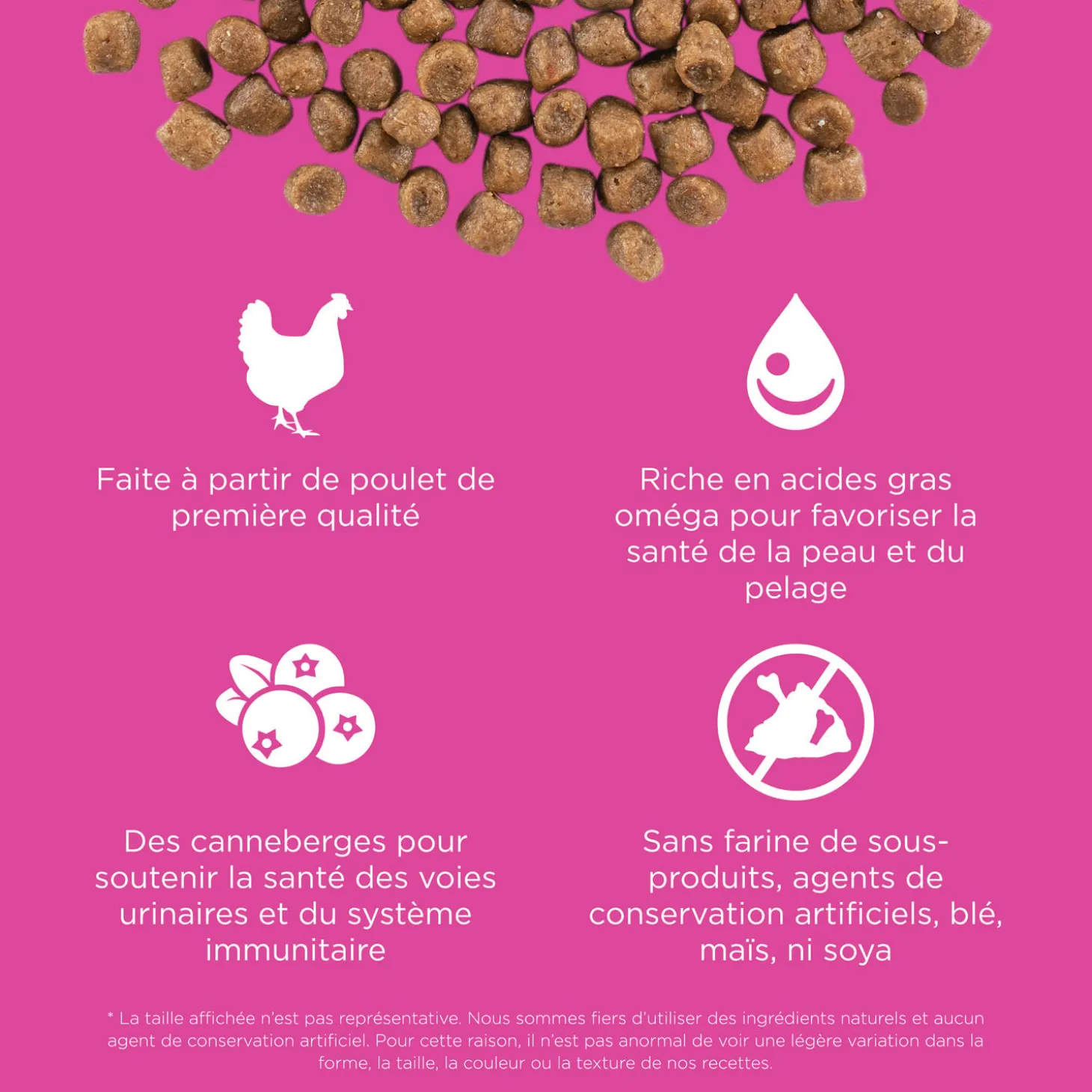 Skin + Coat Care Chicken and Grains Recipe for Cats, 1.86 kg