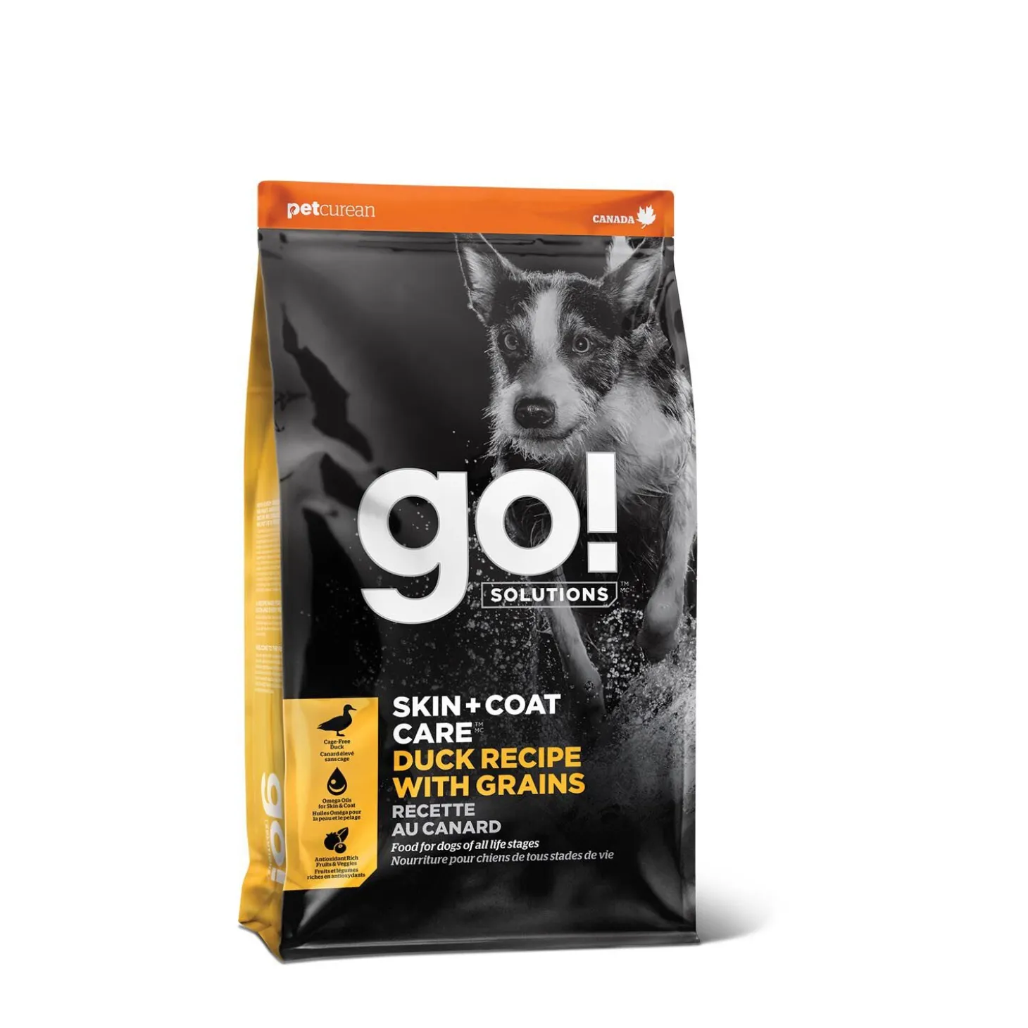 Skin + Coat Care Duck and Grains Recipe for Dogs, 1.59 kg