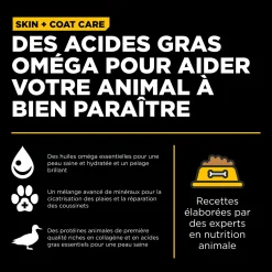 Skin + Coat Care Duck and Grains Recipe for Dogs, 1.59 kg