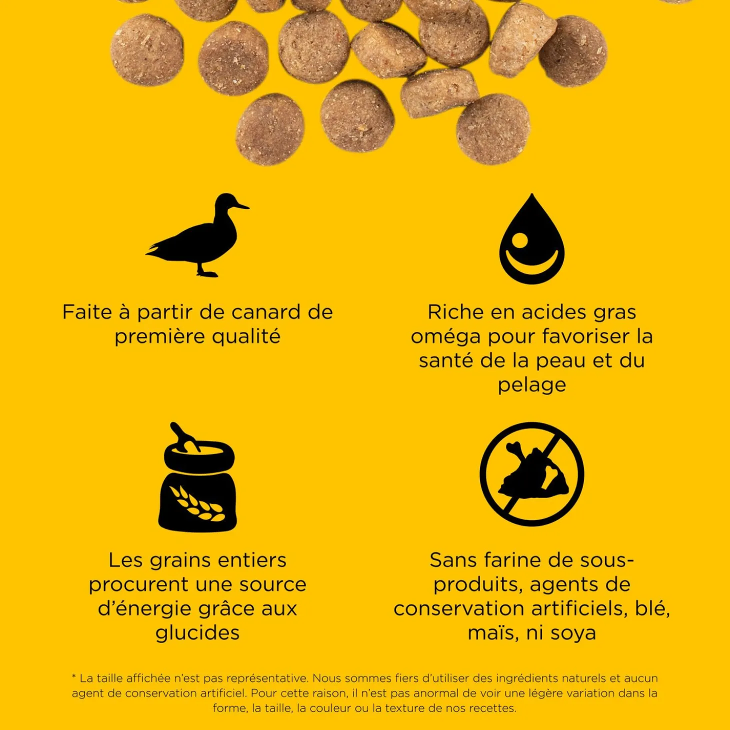 Skin + Coat Care Duck and Grains Recipe for Dogs, 1.59 kg