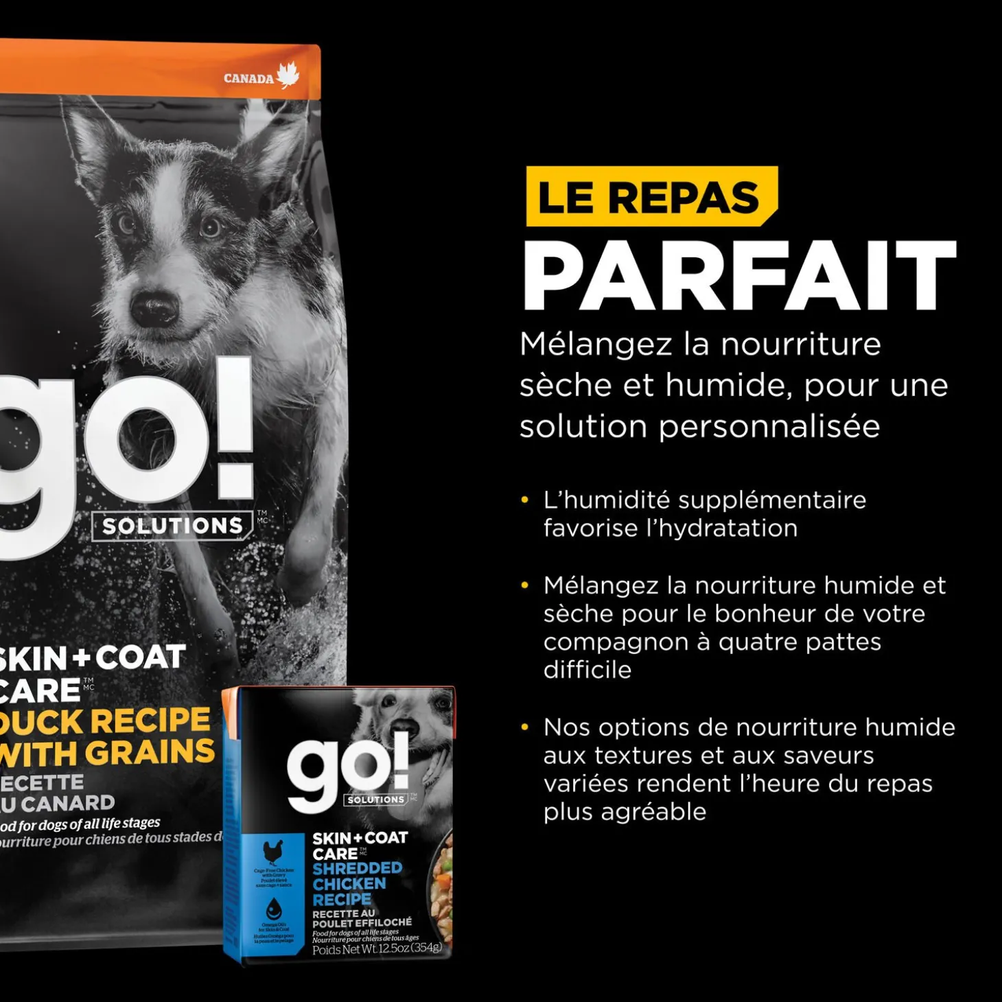 Skin + Coat Care Duck and Grains Recipe for Dogs, 1.59 kg