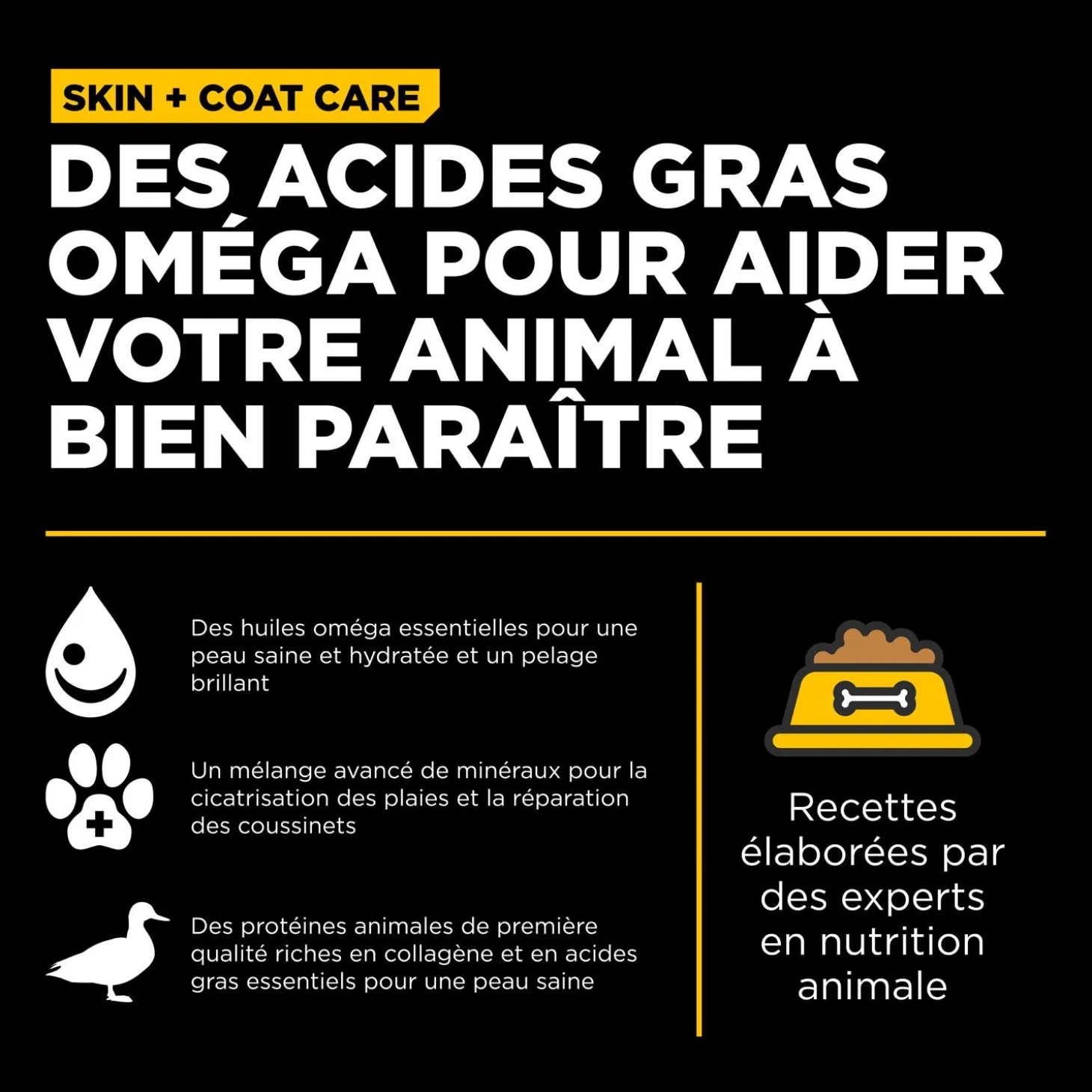 Skin + Coat Care Duck and Grains Recipe for Dogs, 9.98 kg