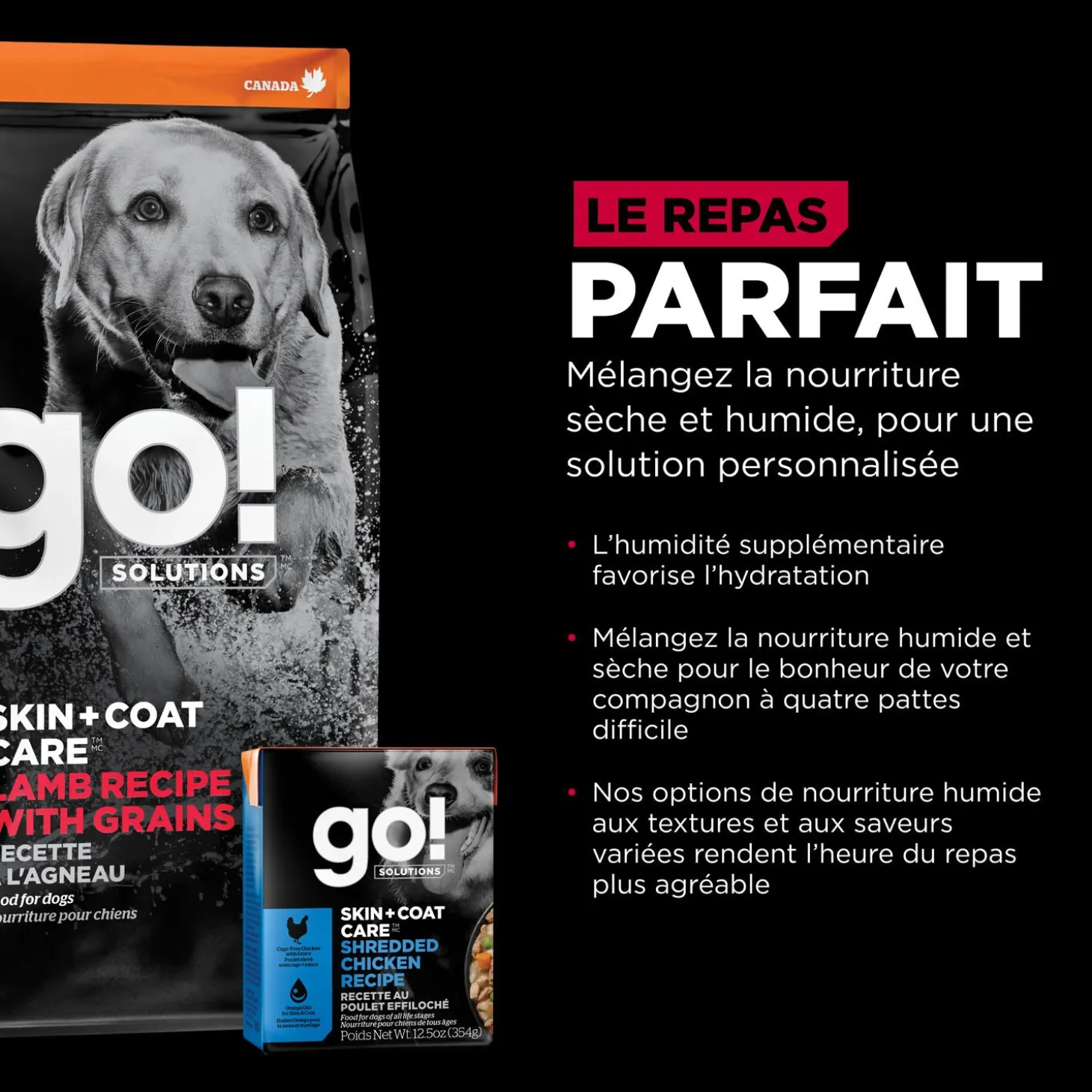 Skin + Coat Care Lamb and Grains Recipe for Dogs, 5.44 kg