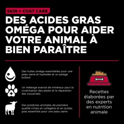 Skin + Coat Care Lamb Recipe with Grains for Dogs, 9.98 kg