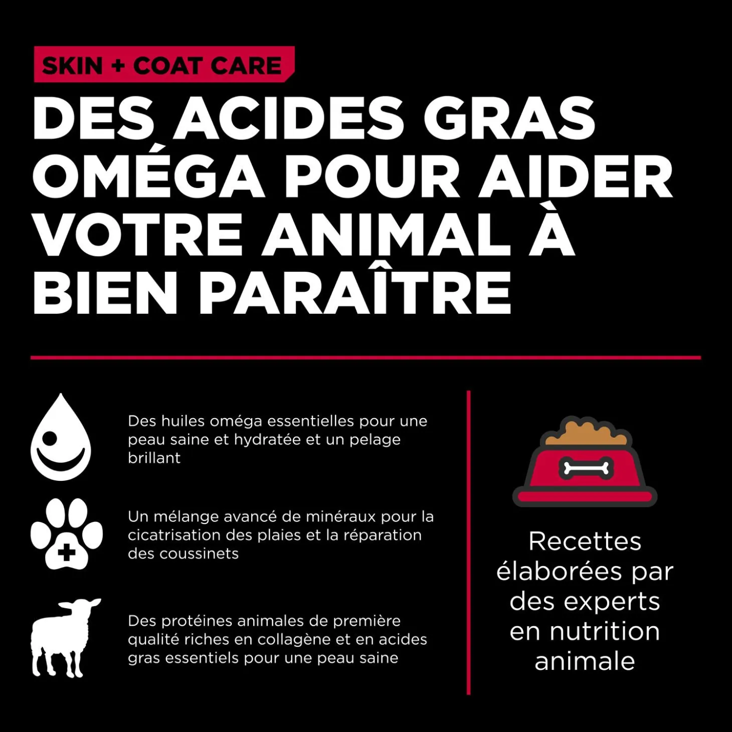 Skin + Coat Care Lamb Recipe with Grains for Dogs, 9.98 kg