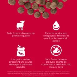 Skin + Coat Care Lamb Recipe with Grains for Dogs, 9.98 kg