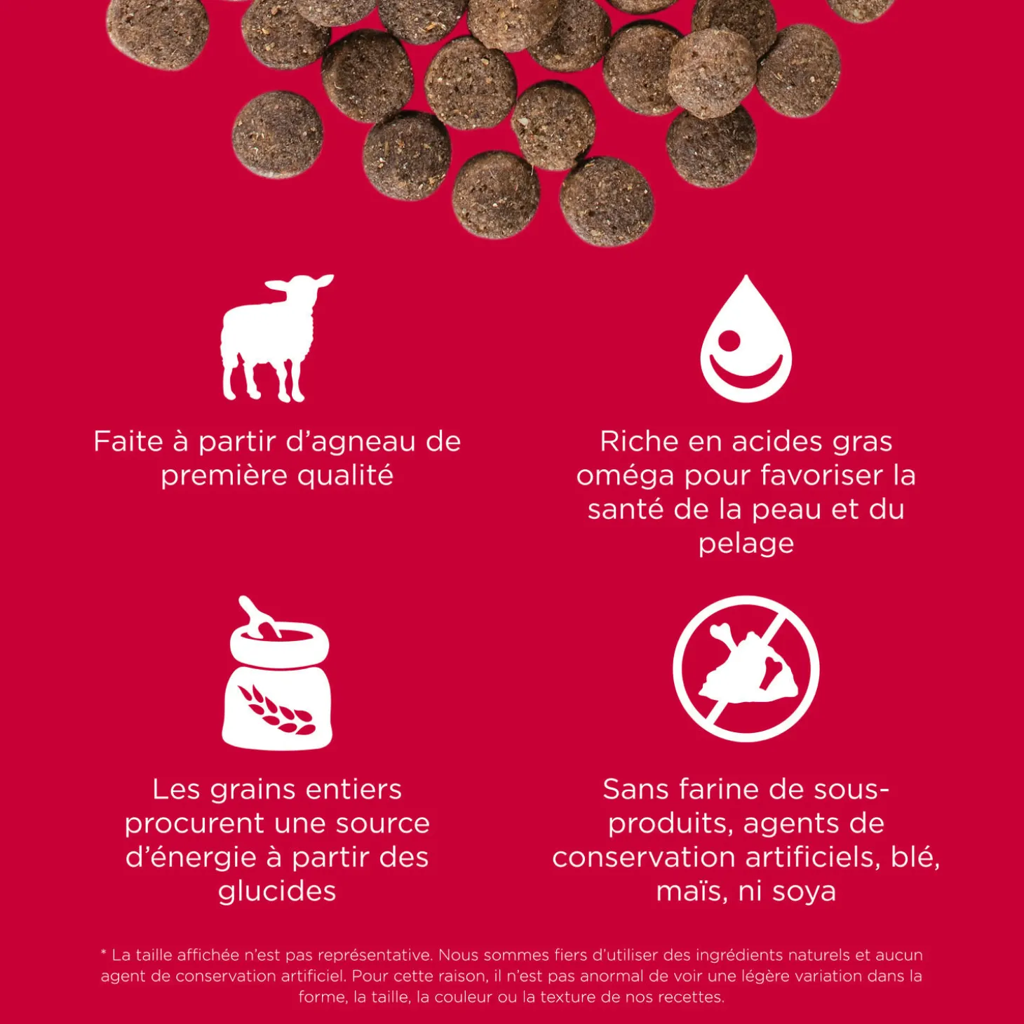 Skin + Coat Care Lamb Recipe with Grains for Dogs, 9.98 kg