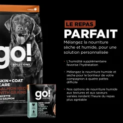 Skin + Coat Care Large Breed Salmon Recipe for Dogs, 5.44 kg