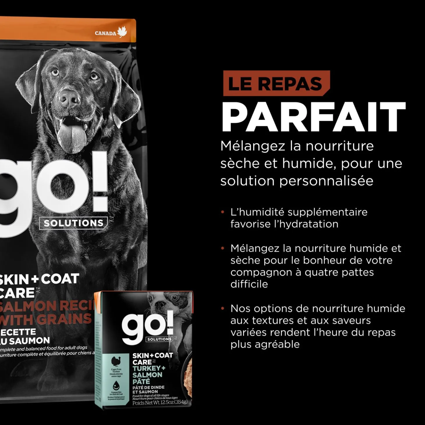 Skin + Coat Care Large Breed Salmon Recipe for Dogs, 5.44 kg