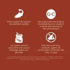Skin + Coat Care Large Breed Salmon Recipe for Dogs, 11.34 kg