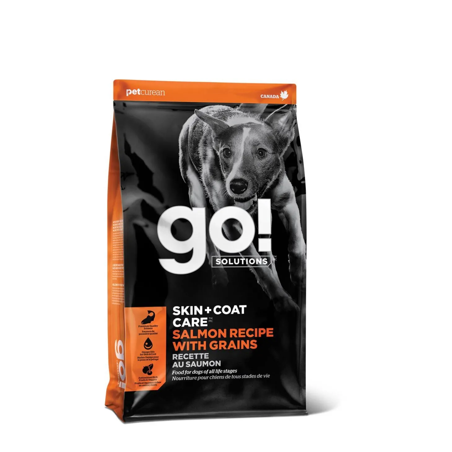 Skin + Coat Care Salmon and Grains Recipe for Dogs, 1.59 kg