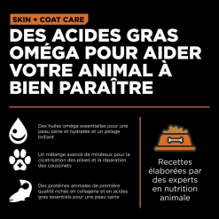 Skin + Coat Care Salmon and Grains Recipe for Dogs, 1.59 kg