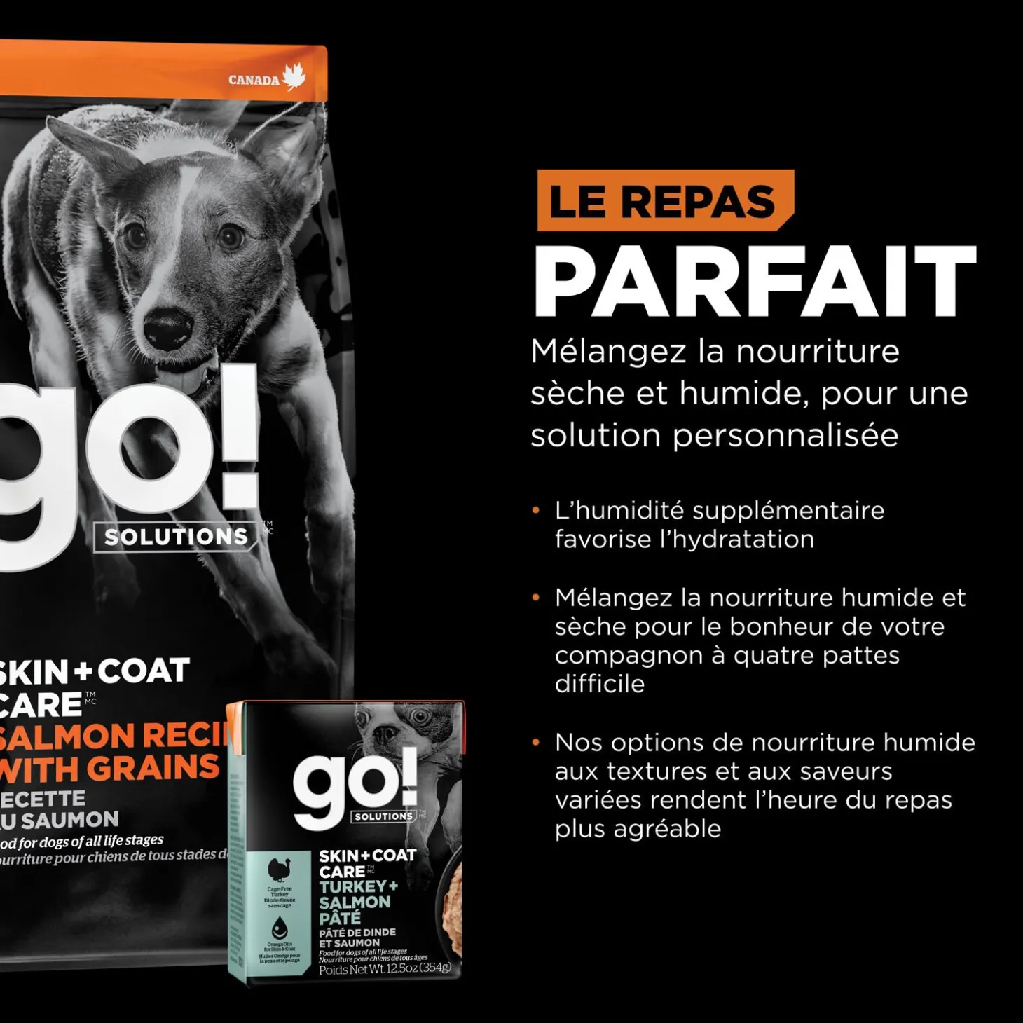 Skin + Coat Care Salmon and Grains Recipe for Dogs, 1.59 kg