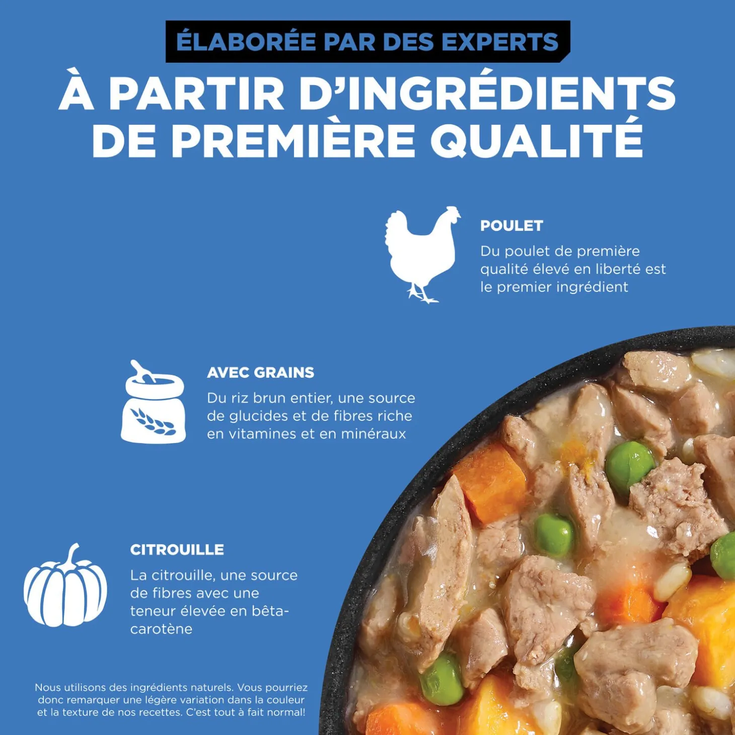 Skin + Coat Care Shredded Chicken Recipe for Dogs, 354 g