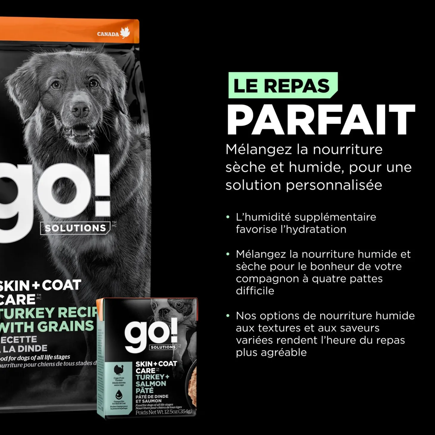 Skin + Coat Care Turkey and Grains Recipe for Dogs, 1.59 kg