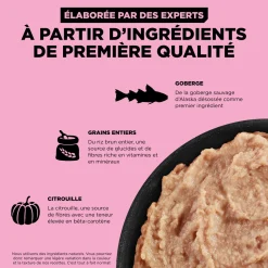 Skin and Coat Care Pollock Pâté for Dogs, 354 g