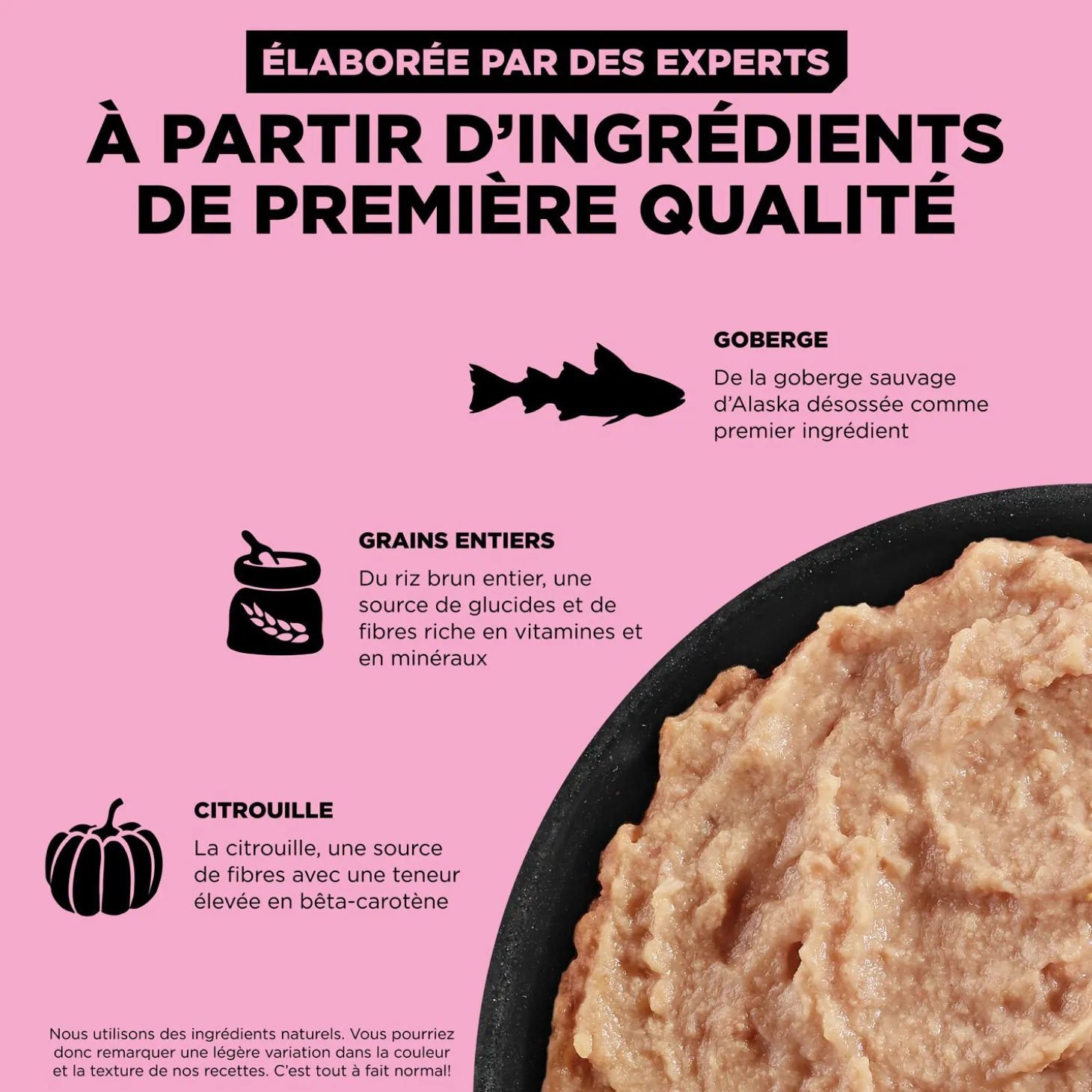 Skin and Coat Care Pollock Pâté for Dogs, 354 g