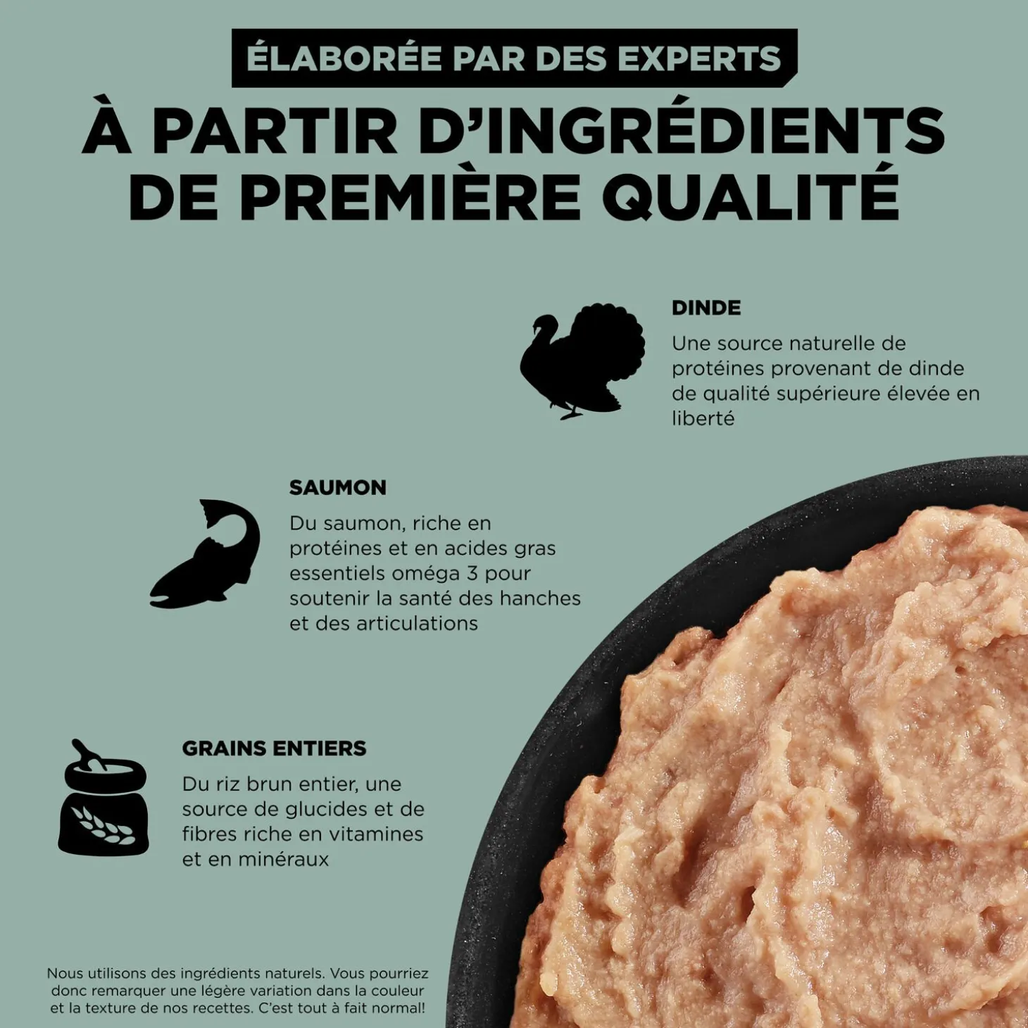 Skin and Coat Care Turkey and Salmon Pâté for Dogs, 354 g