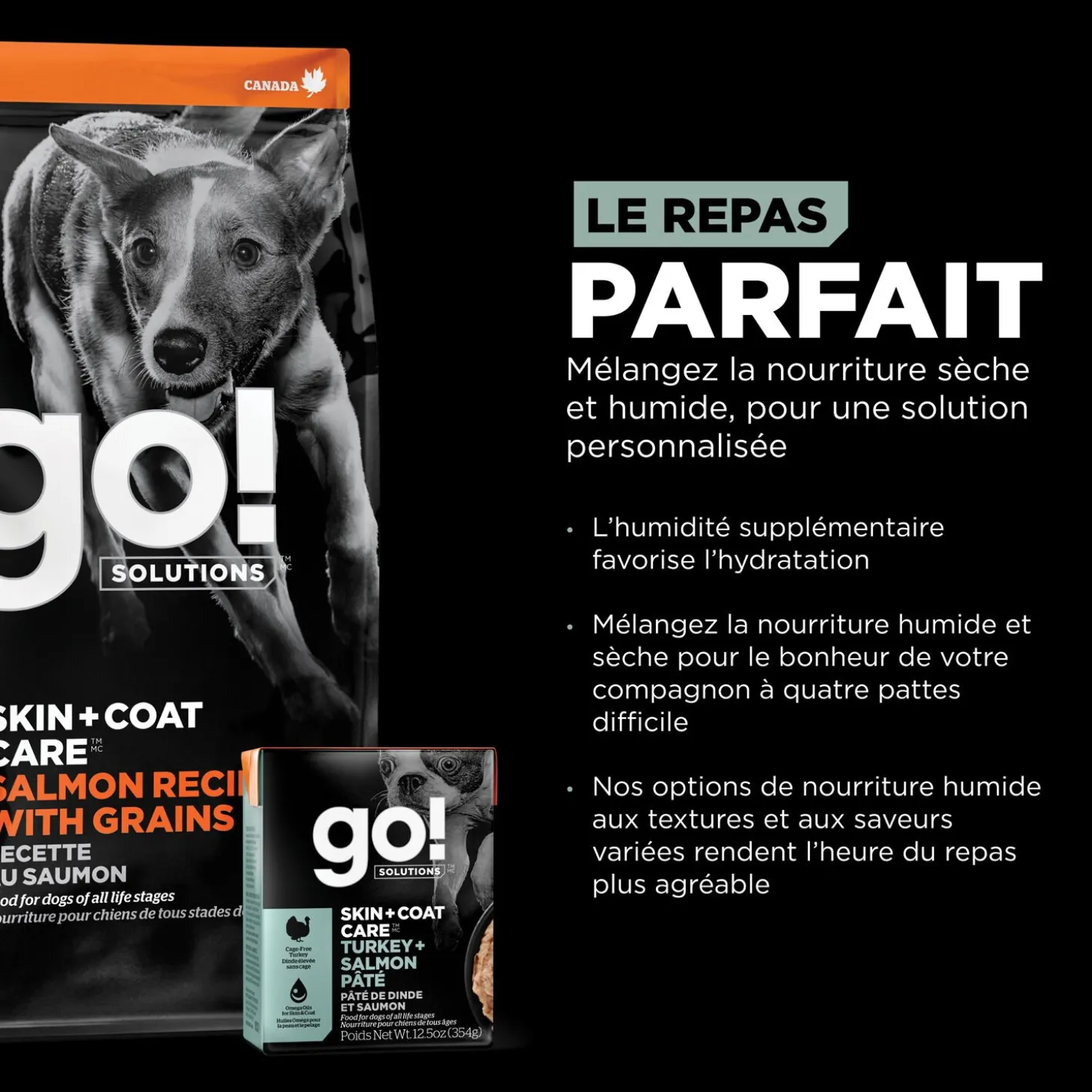 Skin and Coat Care Turkey and Salmon Pâté for Dogs, 354 g