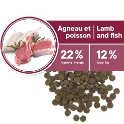 Skin and Coat Formula for Senior Breeds, Lamb and Fish, 2kg
