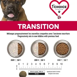 Skin and Coat Formula for Adult Dog Medium and Large Breeds, Lamb and Fish, 5kg