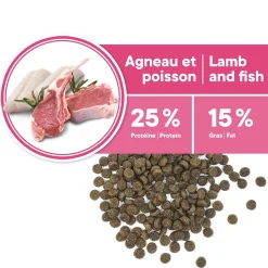 Skin and Coat Formula for Adult Dog Miniature and Small Breeds, Lamb and Fish, 5kg