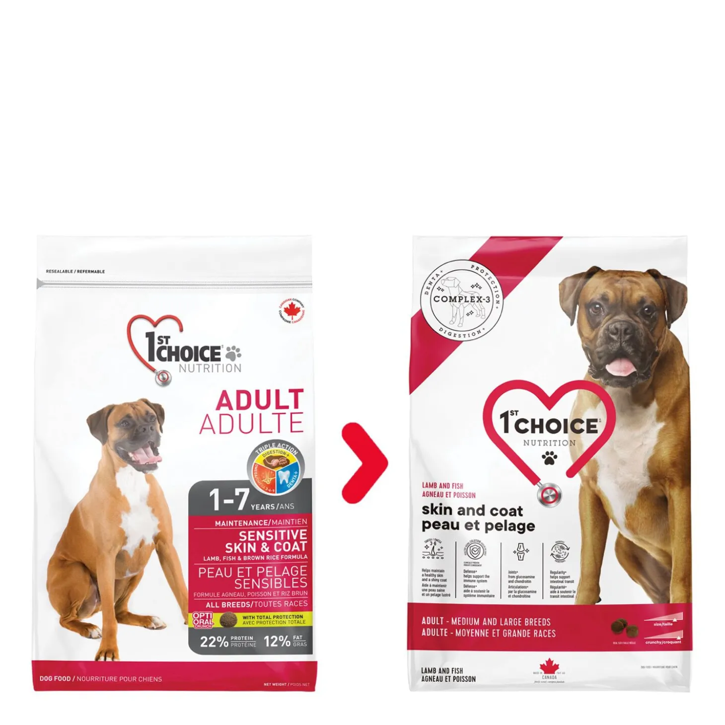 Skin and Coat Formula for Adult Dog Medium and Large Breeds, Lamb and Fish, 11kg